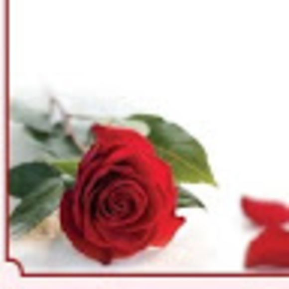 Hi, I will be selling half my house haha,seriously - Picture 1 of 1